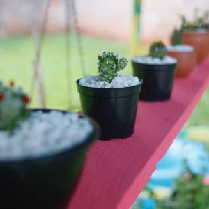 How to Create Website for Plant Nursery Telugu Video Course